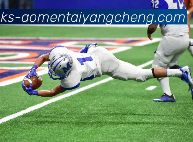 多媒体互动体验