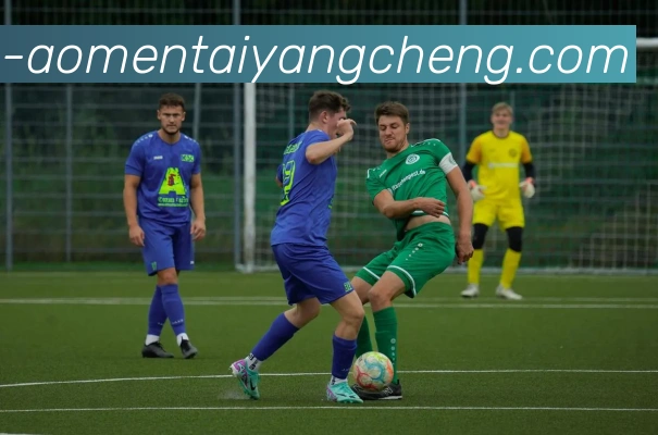 澳门太阳城娱乐APP 高清赛事图